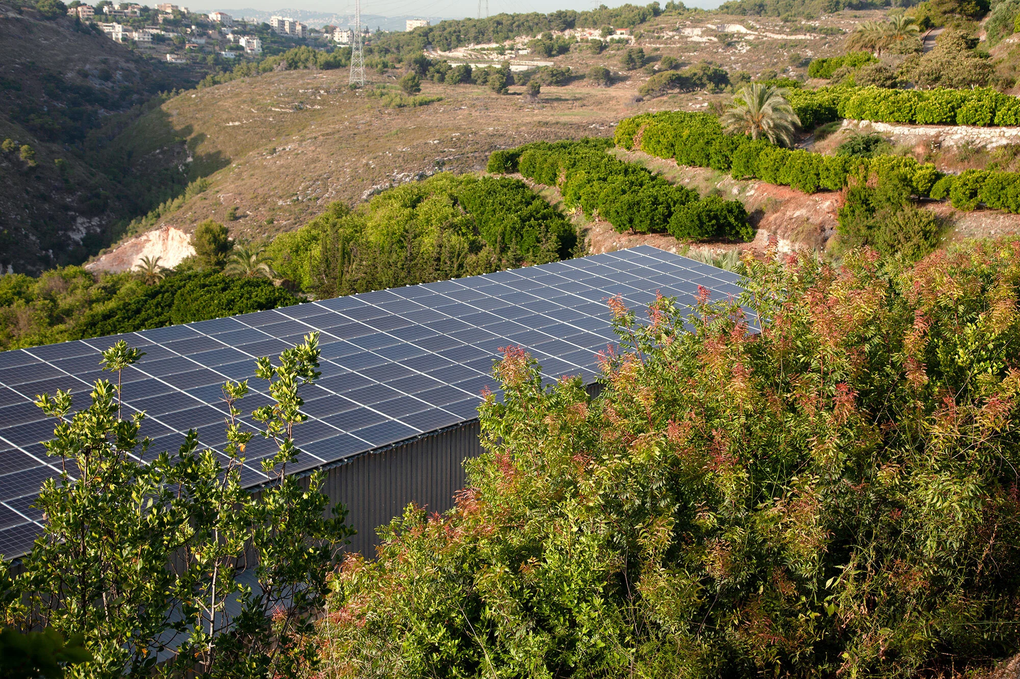Solar installation preserved from GreenWise's original project portfolio, surrounded by hillside greenery
