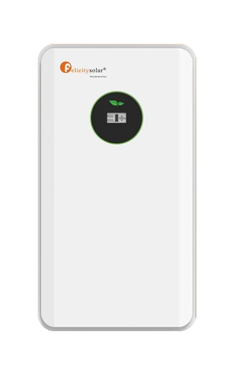 FLA48100