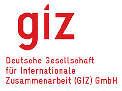 GIZ logo